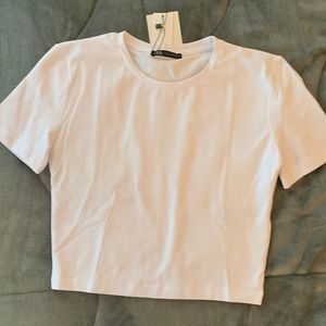 zara basic fitted white tee
